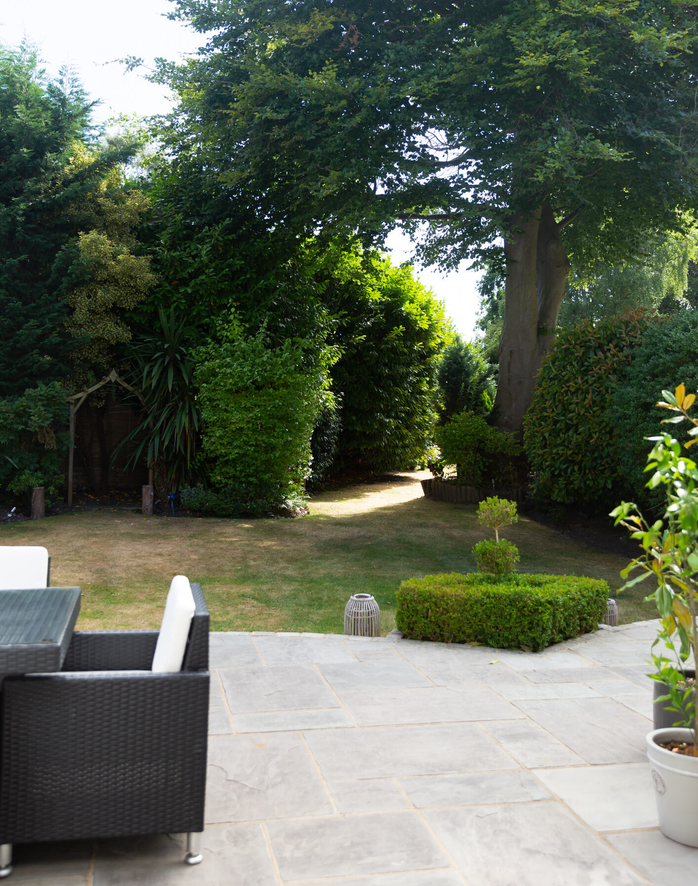 Brown lawn during a hot and dry summer.