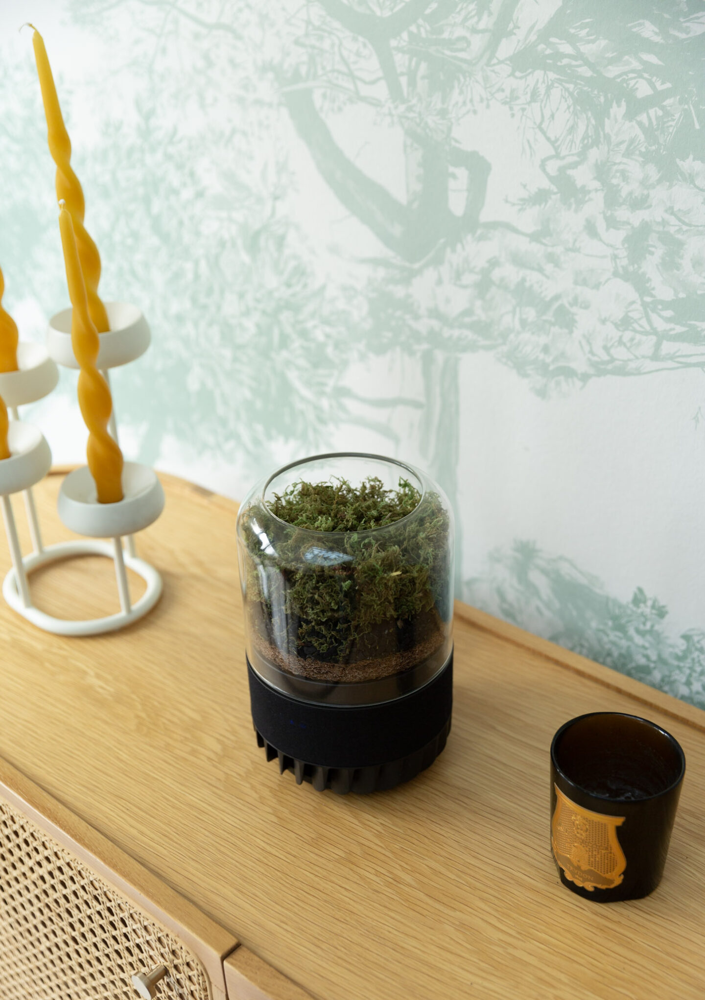 Scint Filter Briiv 2 Pro Review - Eco-Friendly Air Purifier & Scent Diffuserer In One