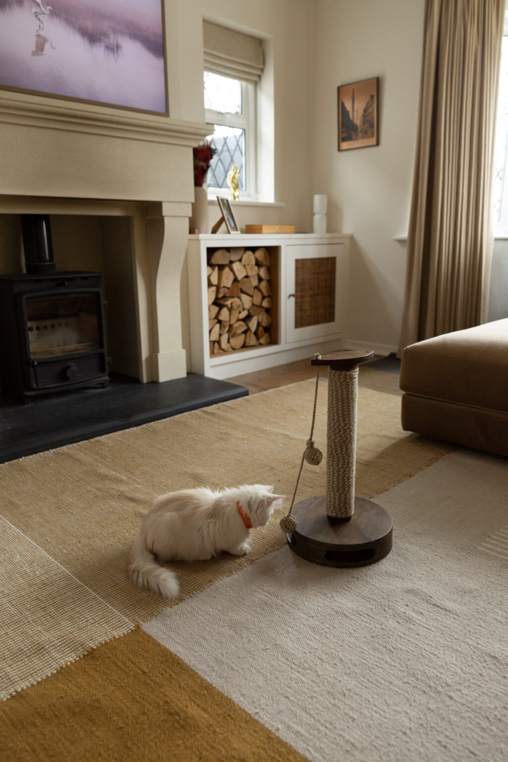 Image showcasing Pet-proof fabrics - Tried & tested best & worst fabrics for your home