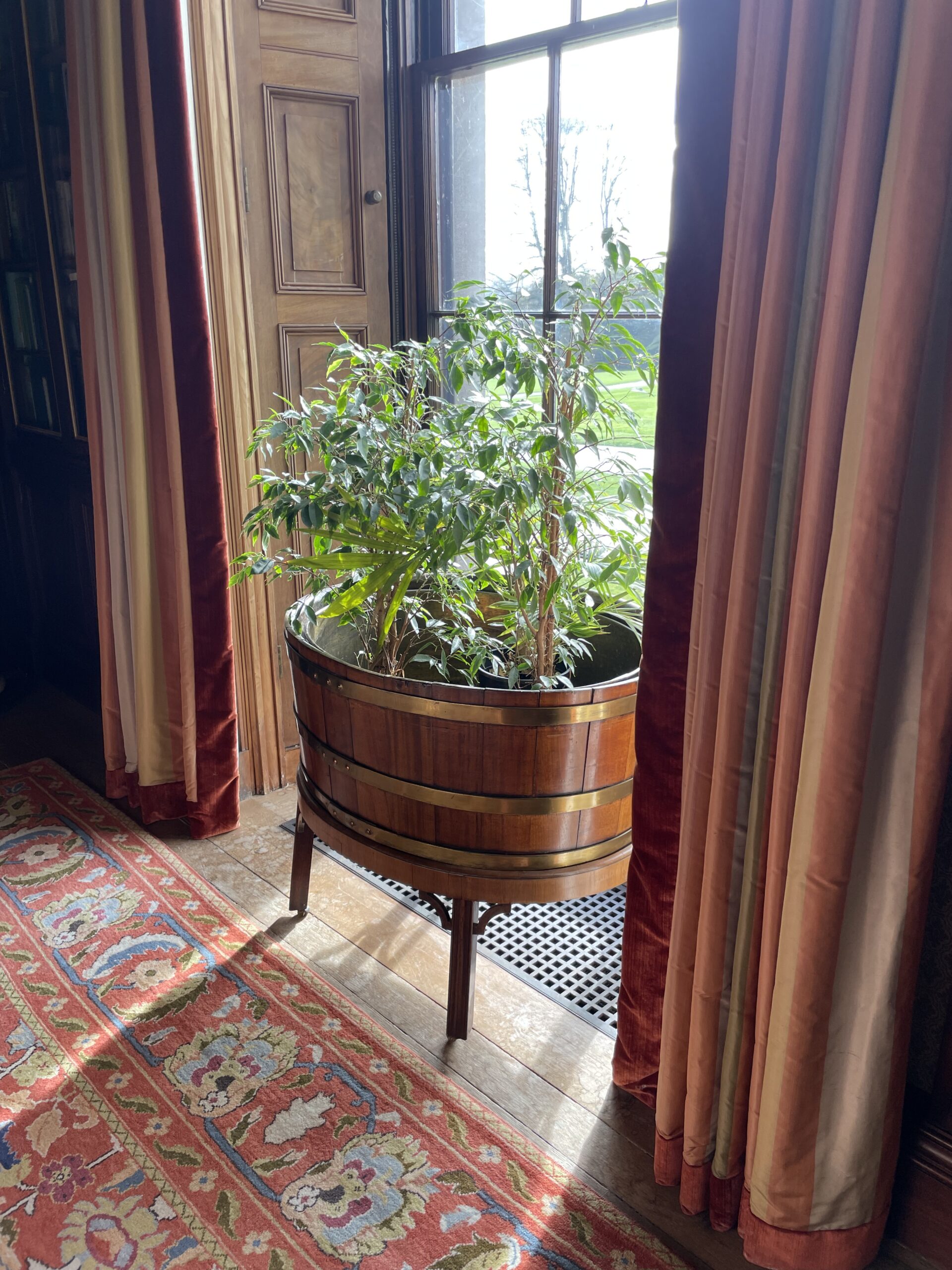Repurposed old mahogany wine cooler as a planter in Drawing Room