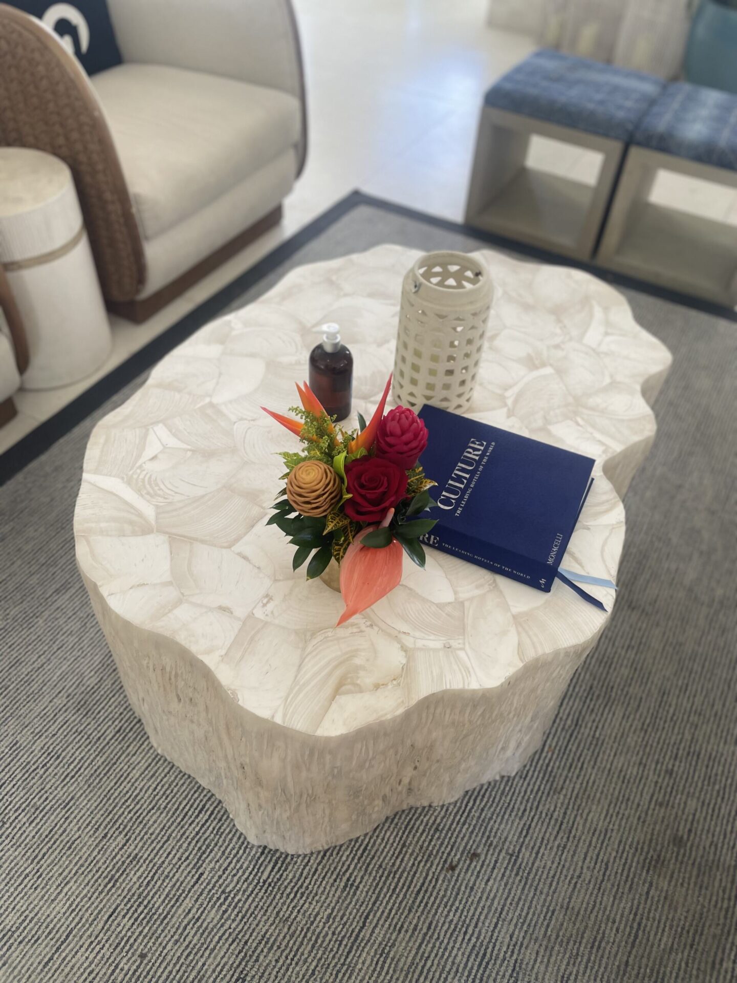 Clam Shell Coffee Table
