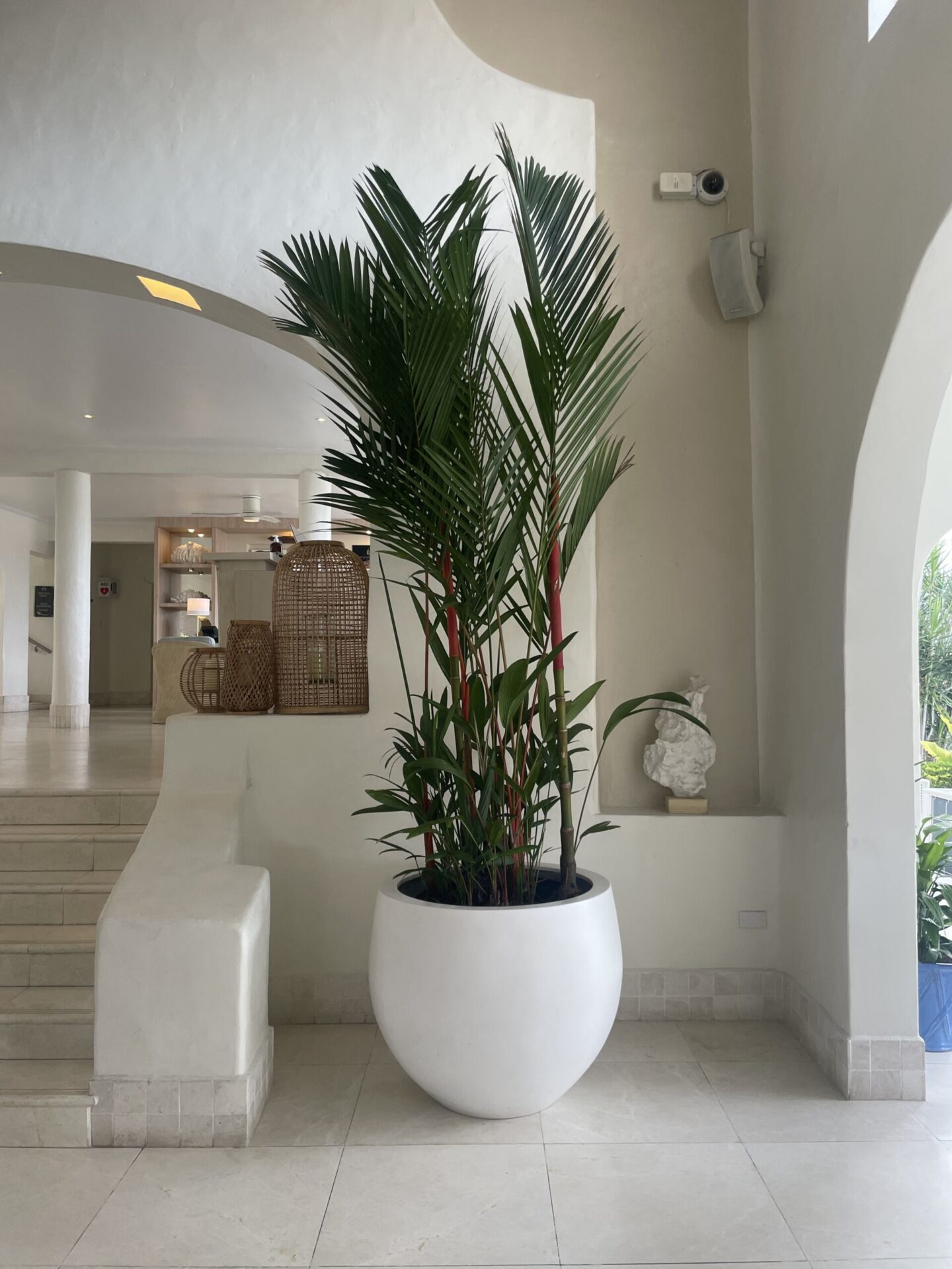 Large Faux Palm Tree in Hotel Lobby At Windjammer Landing St Lucia 