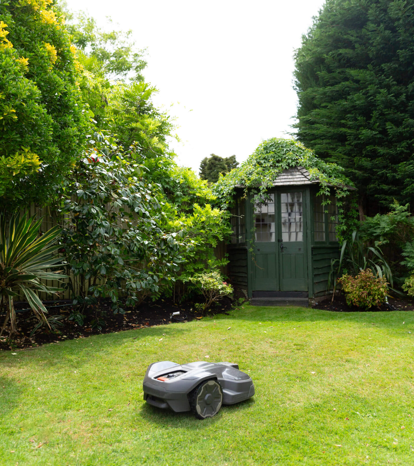 Robotic lawn mower cutting the grass with a garden shed in the background.
